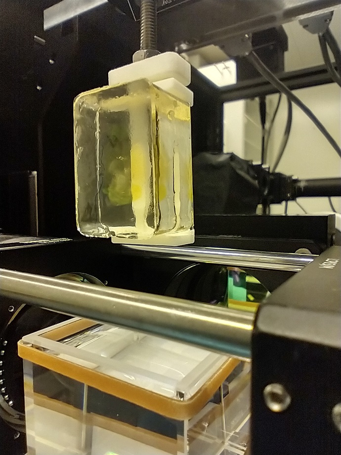 CUBIC with clamp